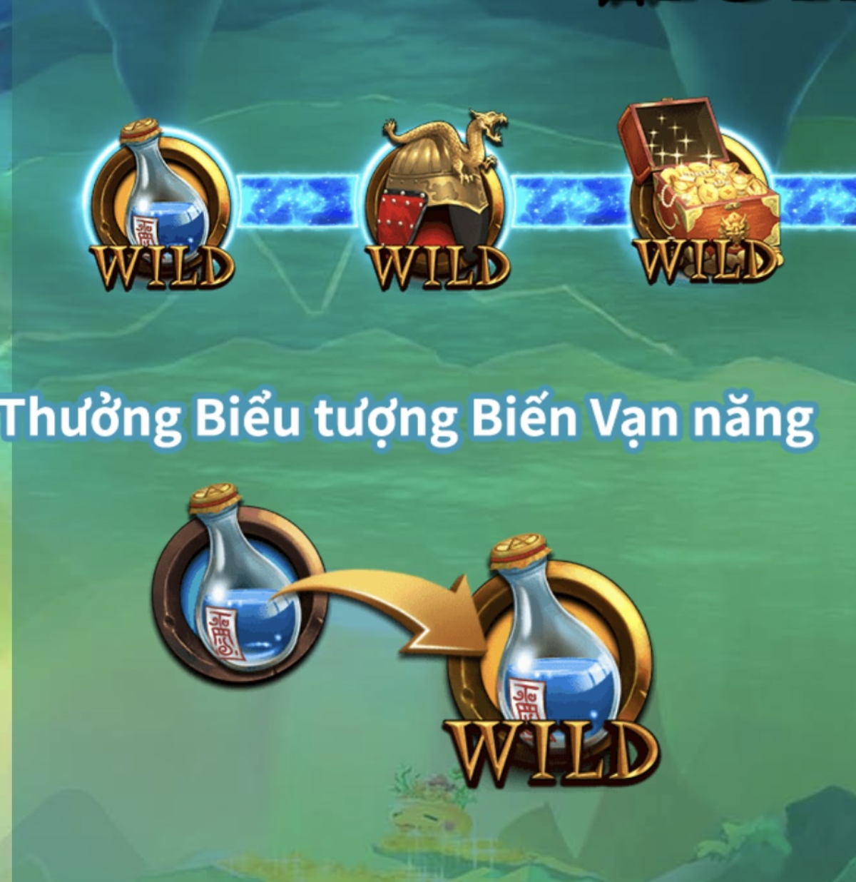 Bieu Tuong Hoang Da The Wild